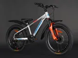 Велосипед HORH ROHAN RMD 2.0 20" 2025 