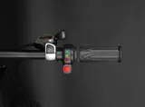 Электровелосипед HORH Herz Folding Fat 20" 2021 
