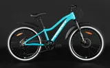 Велосипед HORH LIMA LHD4.0 24" 2025 