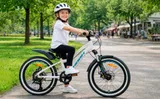 Велосипед HORH LIMA LMD2.0 20" 2024
