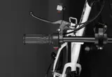 Электровелосипед HORH Herz Folding Fat 20" 2021 
